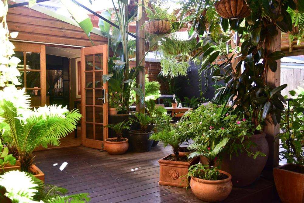 Macleay Cottage With Plunge Pool And Local Arts Anafi Exterior foto
